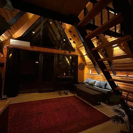 Chalet Mira *