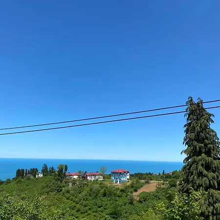 Mira Trabzon