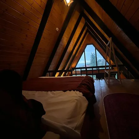 Dağ evi Mira Trabzon