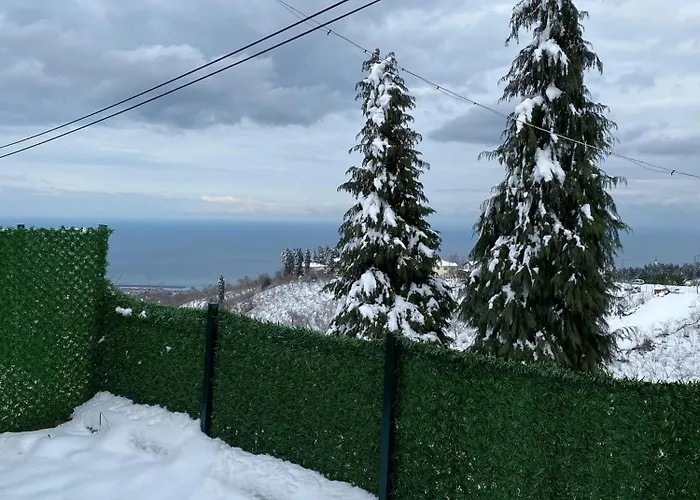 Mira Trabzon